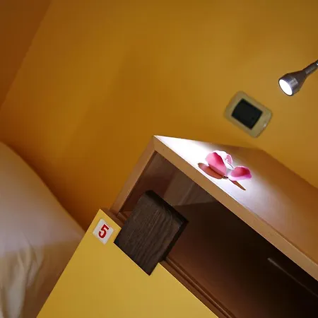 Hostel Seven &
