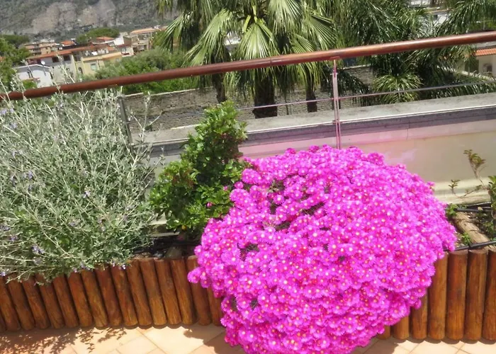 세븐 호스텔&룸 호스텔 *